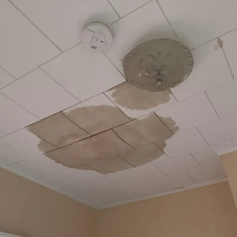 Ceiling Water Damage Repair in East Concord, NH